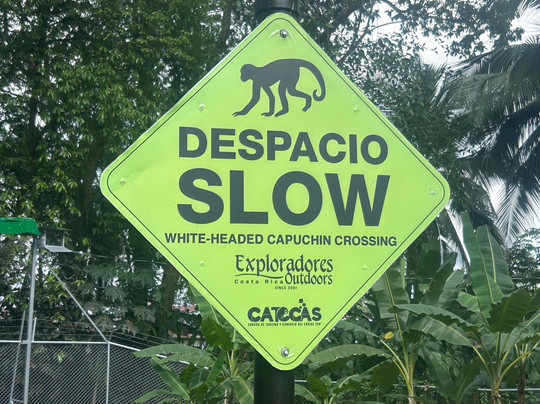 Kalkonu Travel-Ciudad Colon必去景点