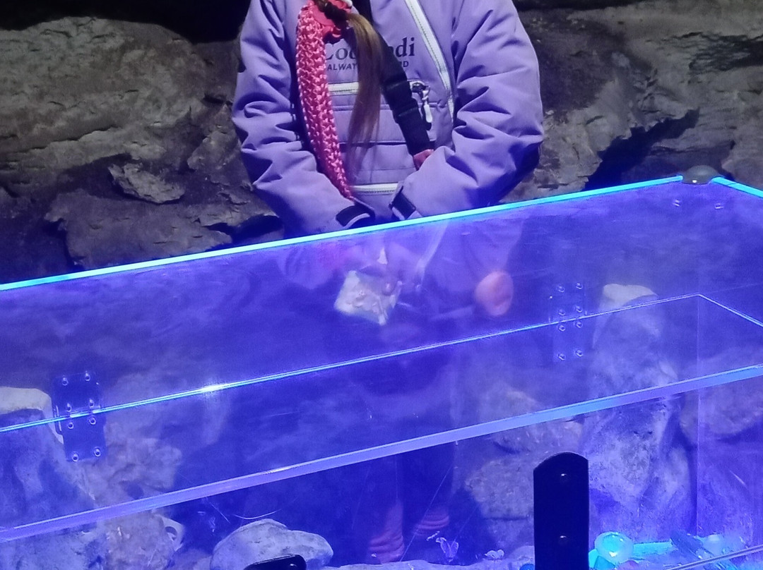 Kungurskaya Cave-Kungur必去景点