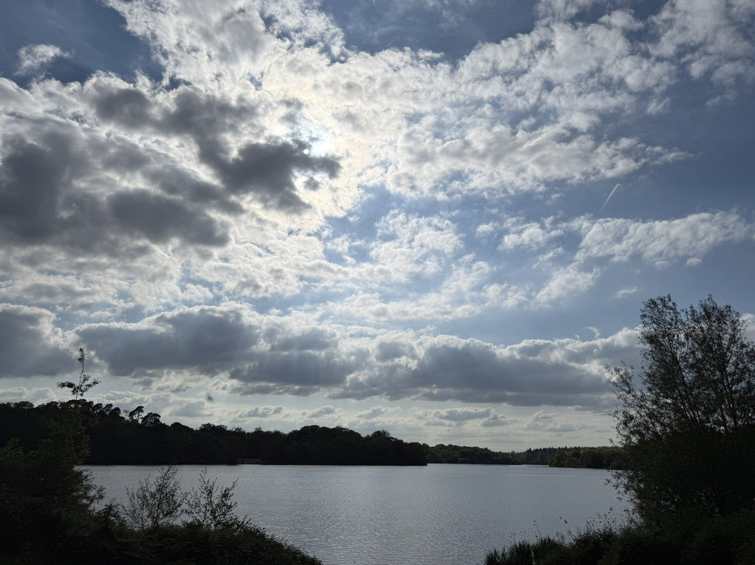 Virginia Water lake景点图片