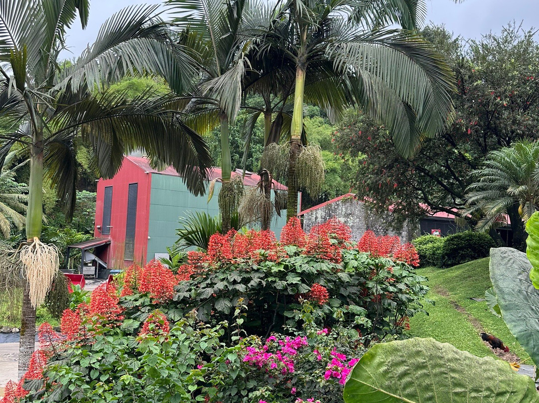 Distillerie J M-Macouba必去景点