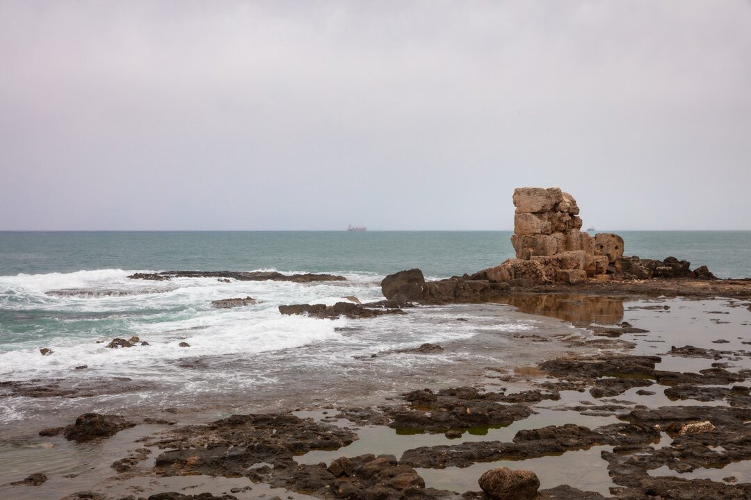 Syrian Guides景点图片