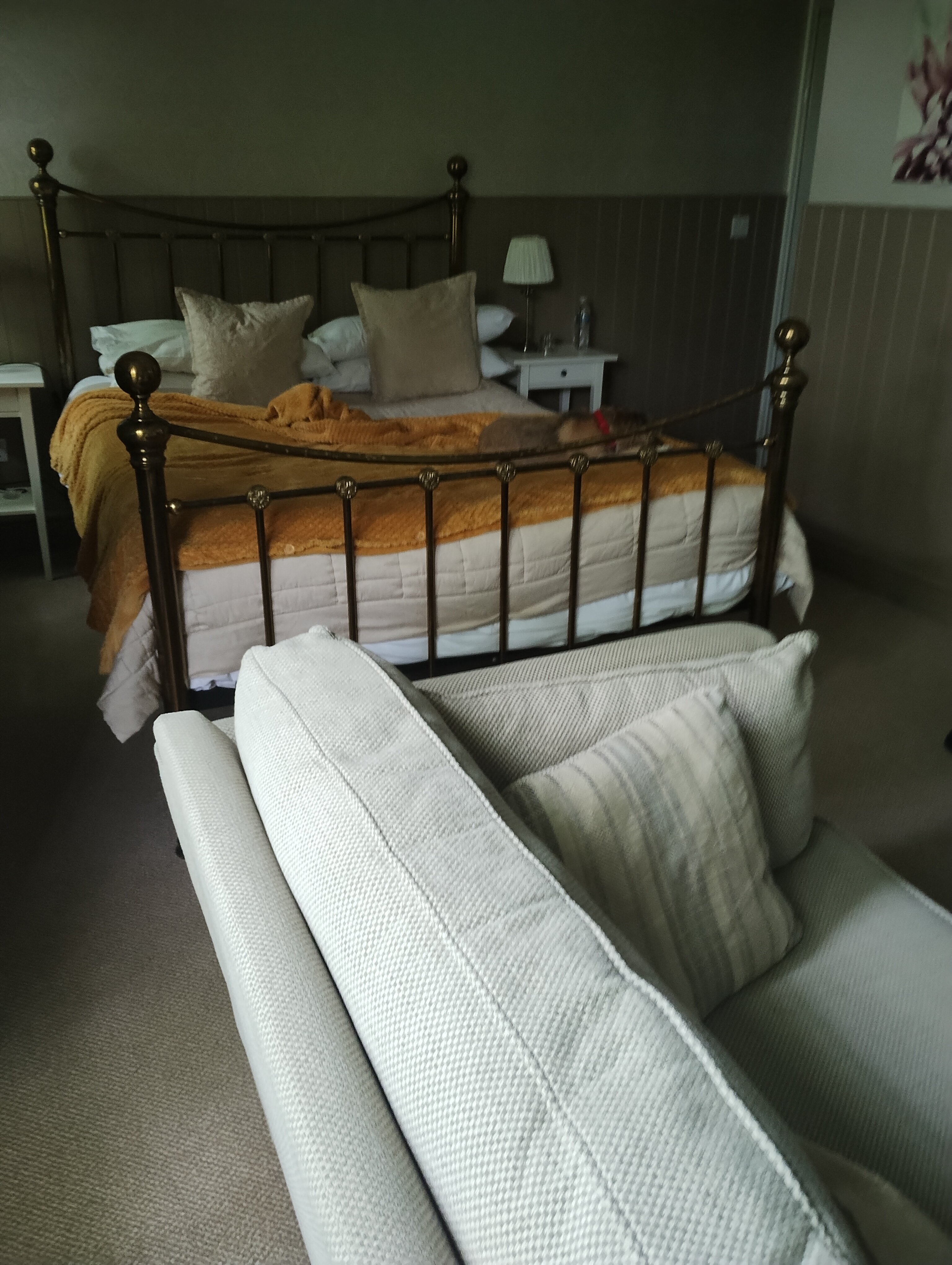 The Swan Hotel-官方