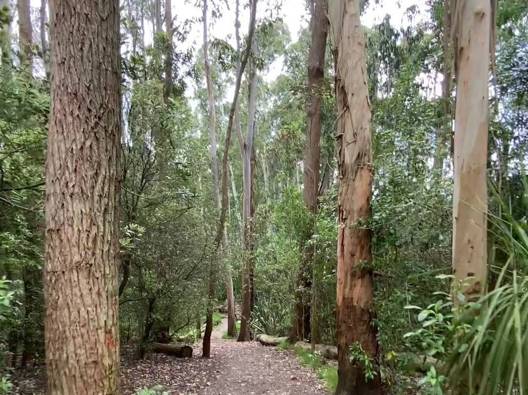 Waiatarua Reserve景点图片