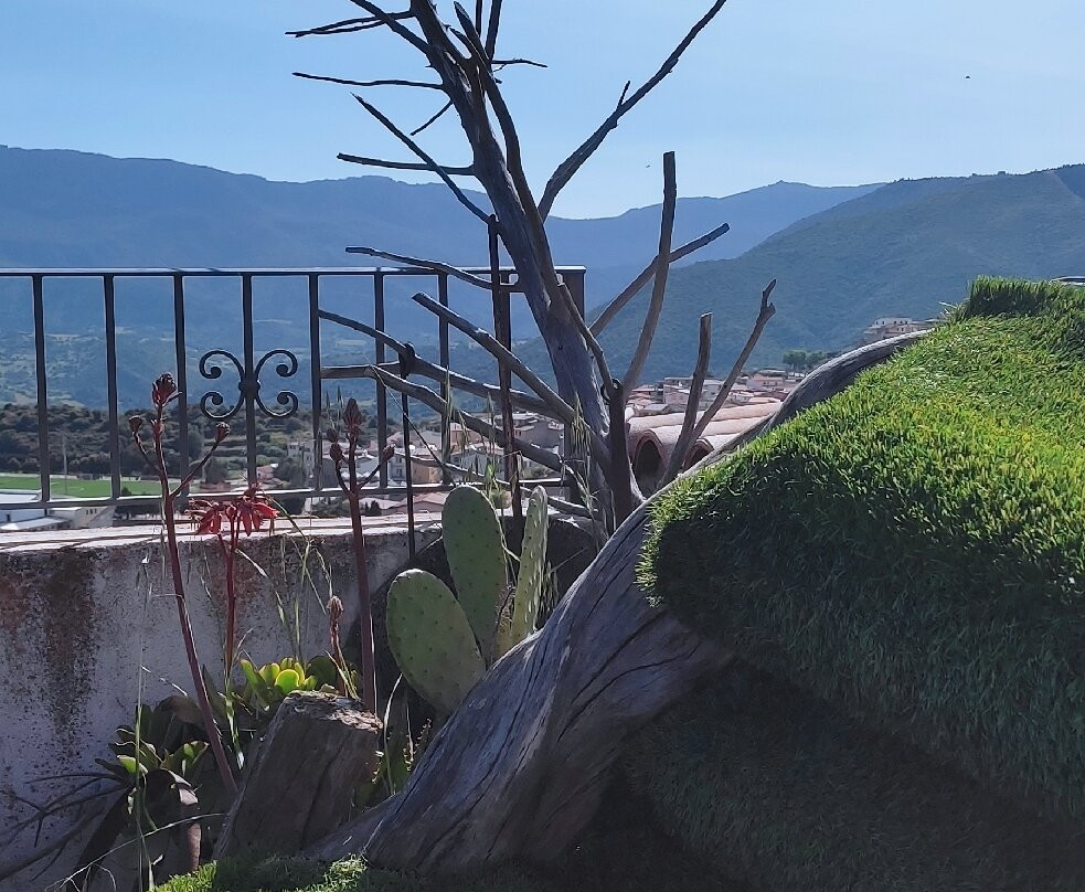 B&B il Portico主图