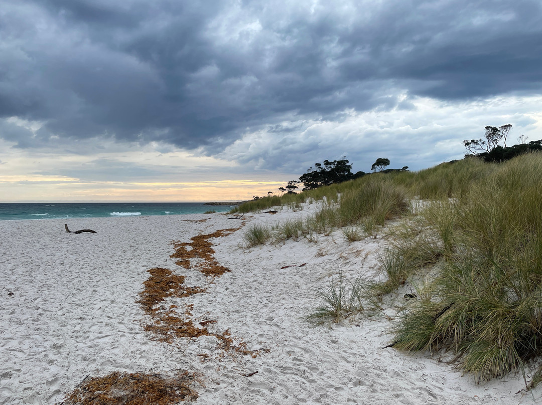 Bilalong Bay Beach景点图片