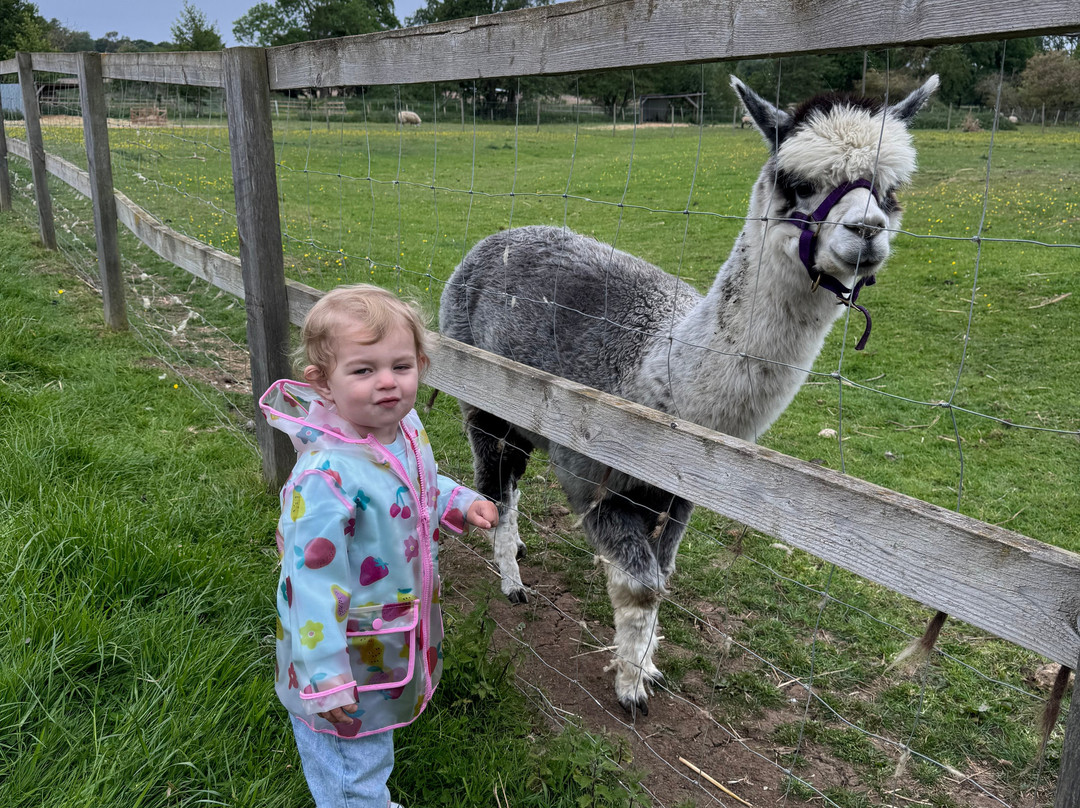 Tostock Animal Park-Tostock必去景点