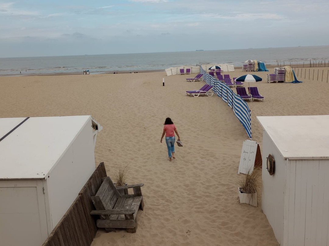 Beach De Haan-德韩必去景点
