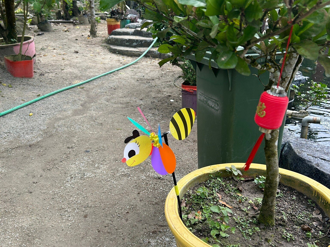 Desaru Fruit Farm-哥打丁宜必去景点