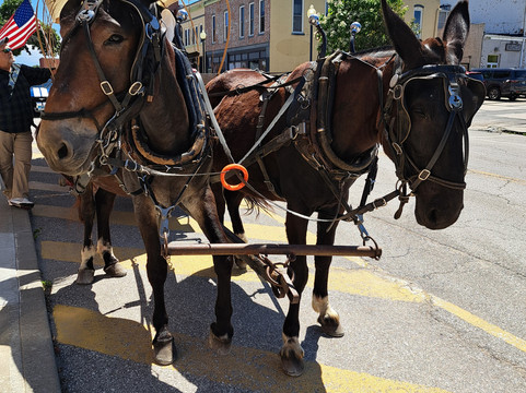 Pioneer Trails Adventures-Independence必去景点