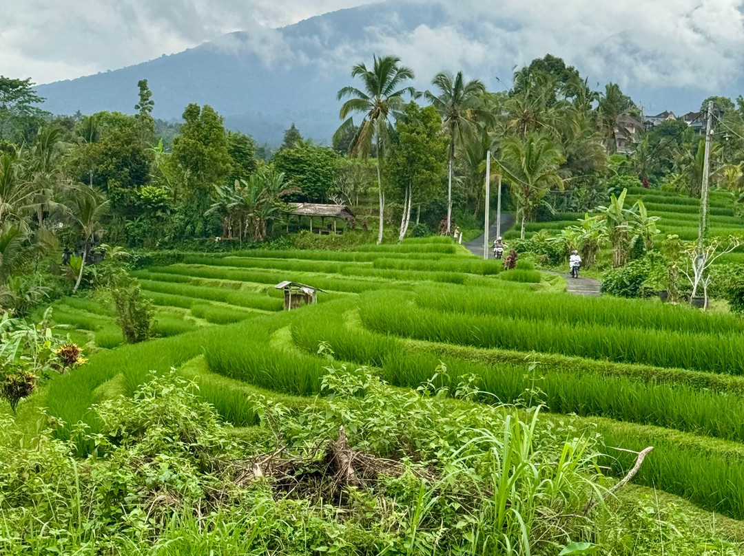 Balikaru-Mengesta必去景点