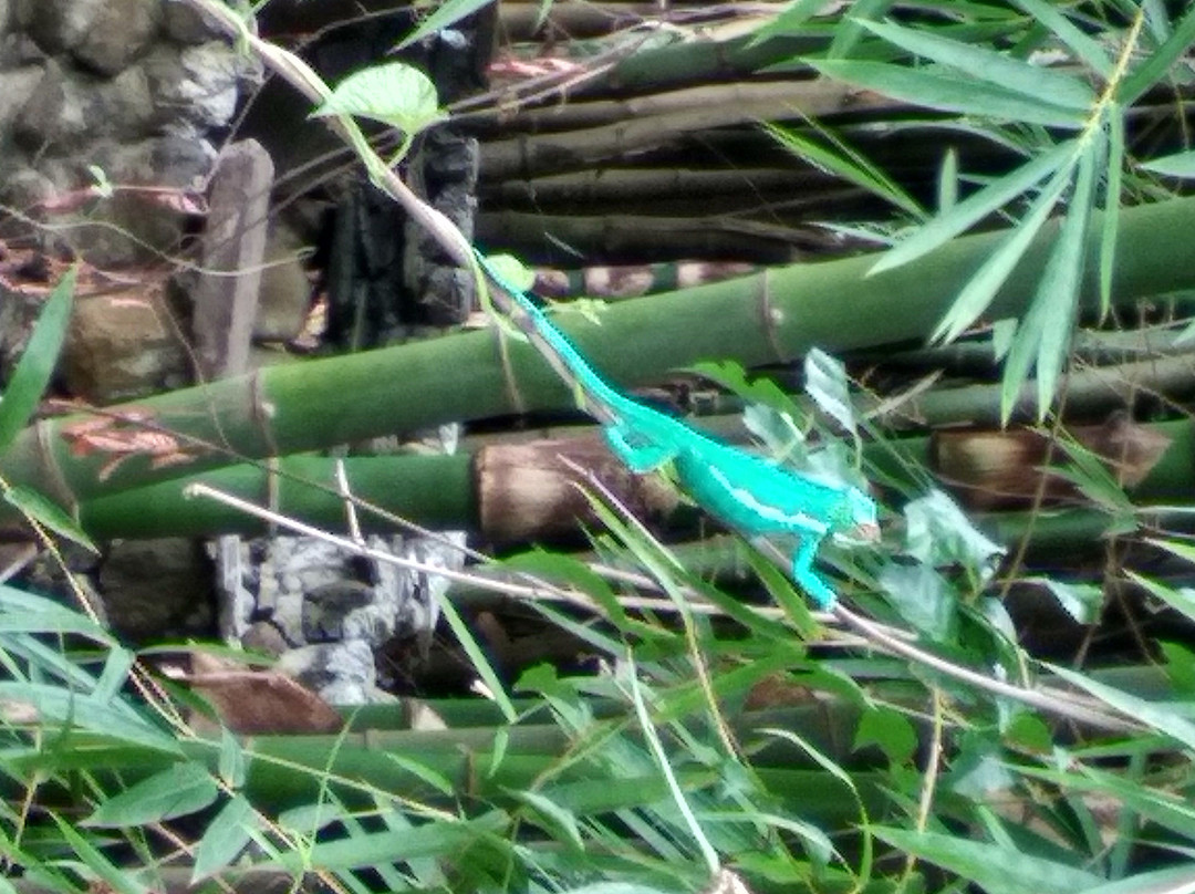 Madagaskar景点图片