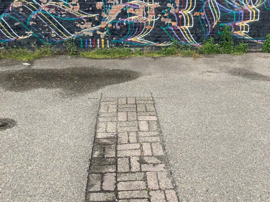 Blind Walls Gallery-布雷达必去景点