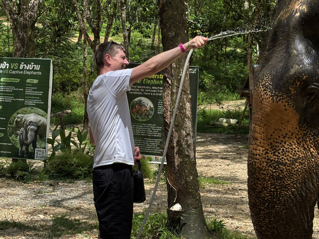 Khaolak Ethical Elephant Sanctuary-拉克山必去景点