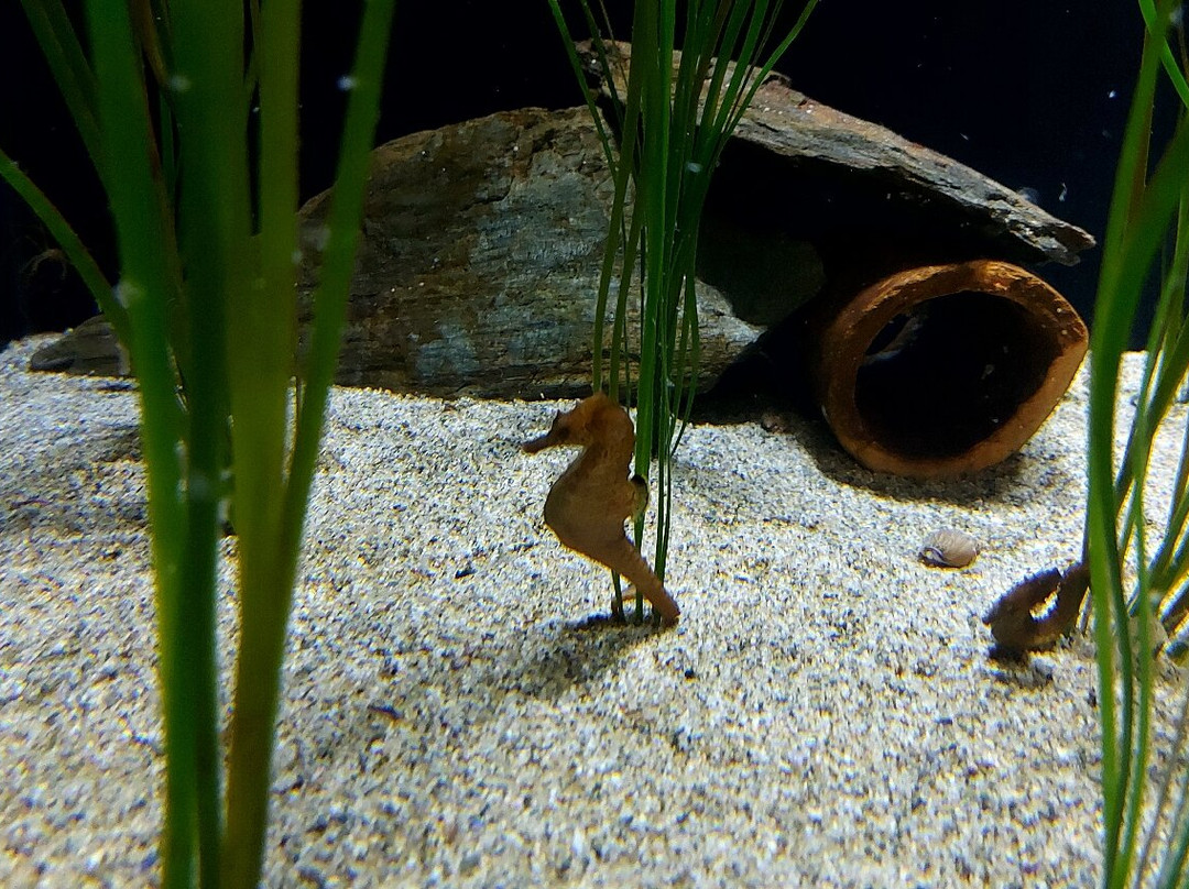 Biodiversarium-Banyuls-sur-mer必去景点