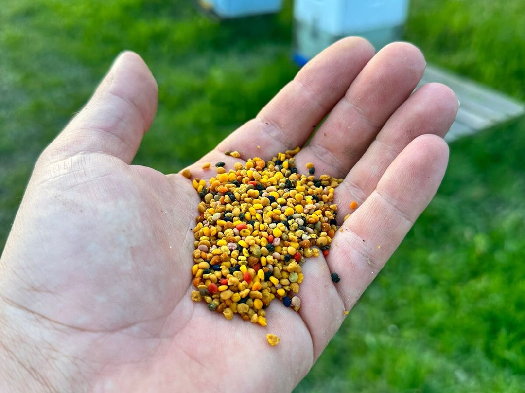 Alimento Corfu Beekeeping Tours-Kanoni必去景点