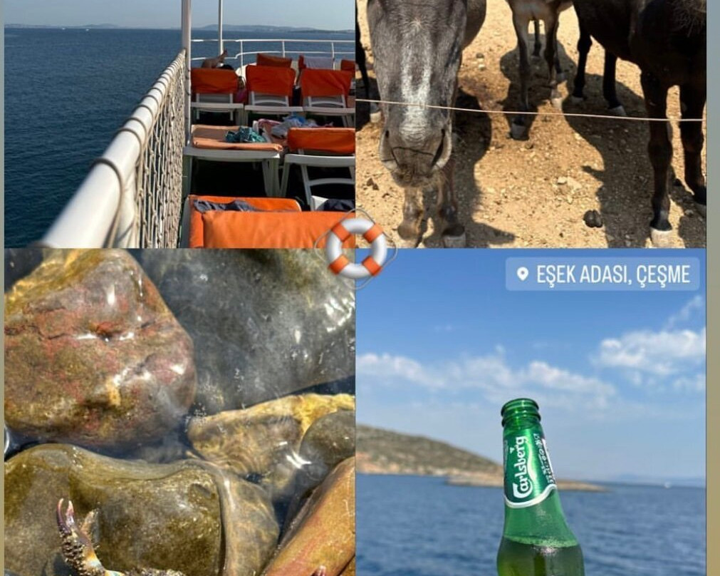 Okeanos-切什梅必去景点