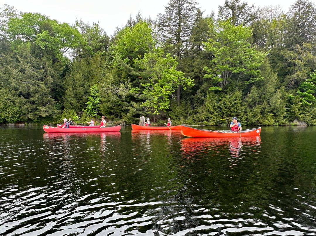 Voyageur Quest Outfitting and Algonquin Wilderness Centre-Kawawaymog Lake必去景点