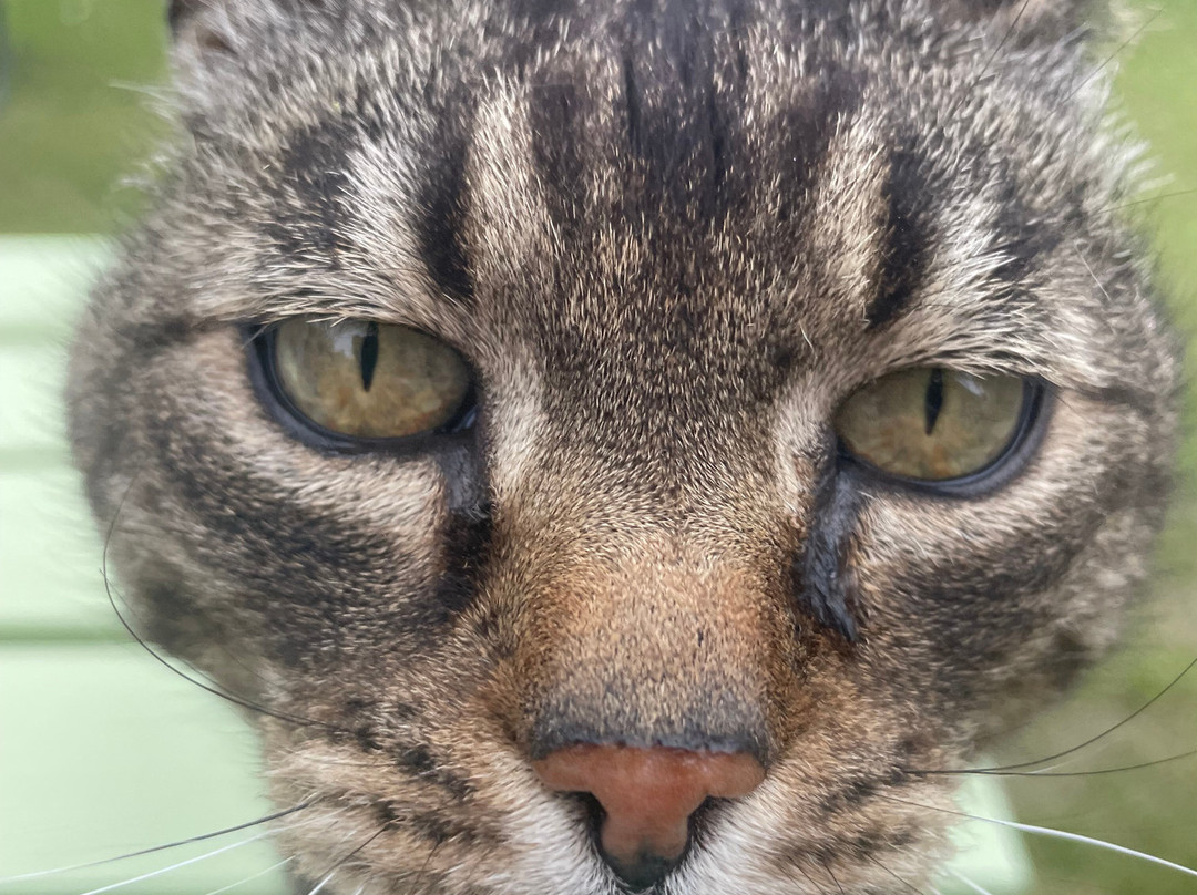 LifePlan Kajak & Friluftsliv-斯文堡必去景点