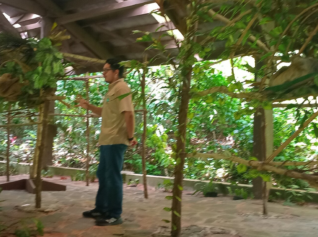 Gamboa Sloth Sanctuary景点图片