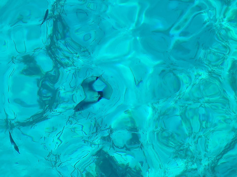 Perfect Day Sailing Tours-圣特雷莎加卢拉必去景点