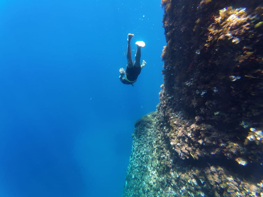 Cilento Snorkeling景点图片