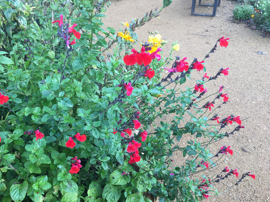 Radipole Park and Gardens-韦茅斯必去景点