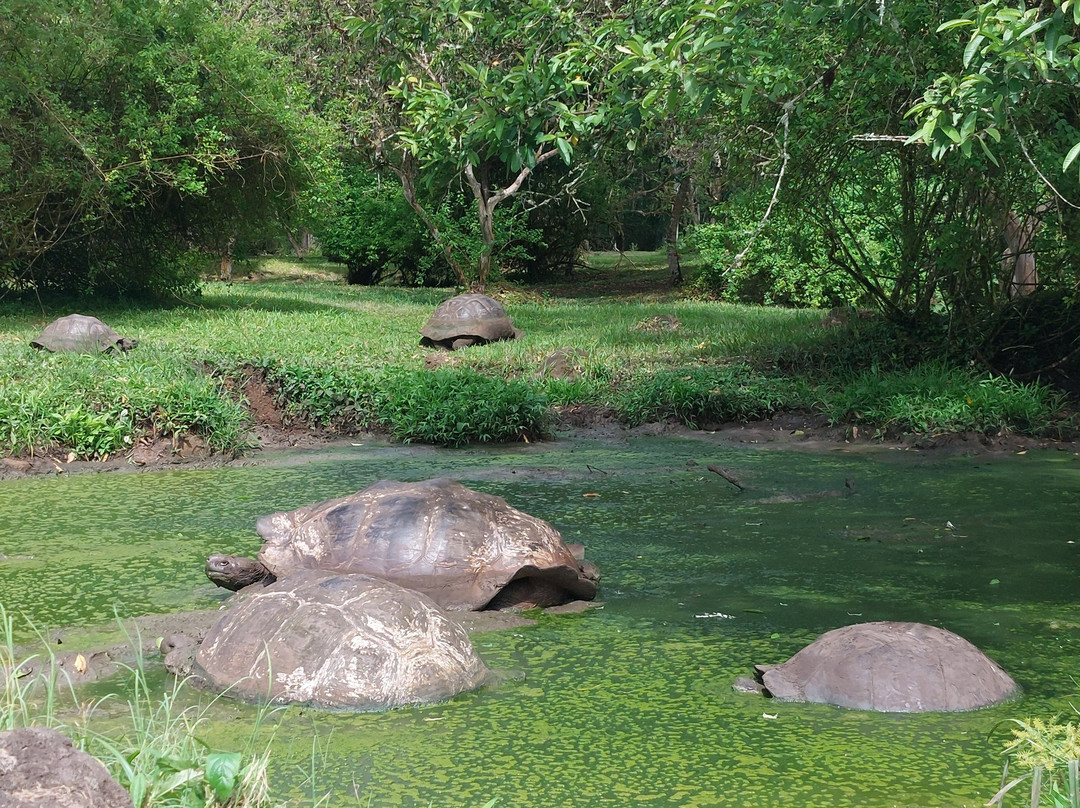 Galapagos by Local Guides-圣克鲁斯必去景点