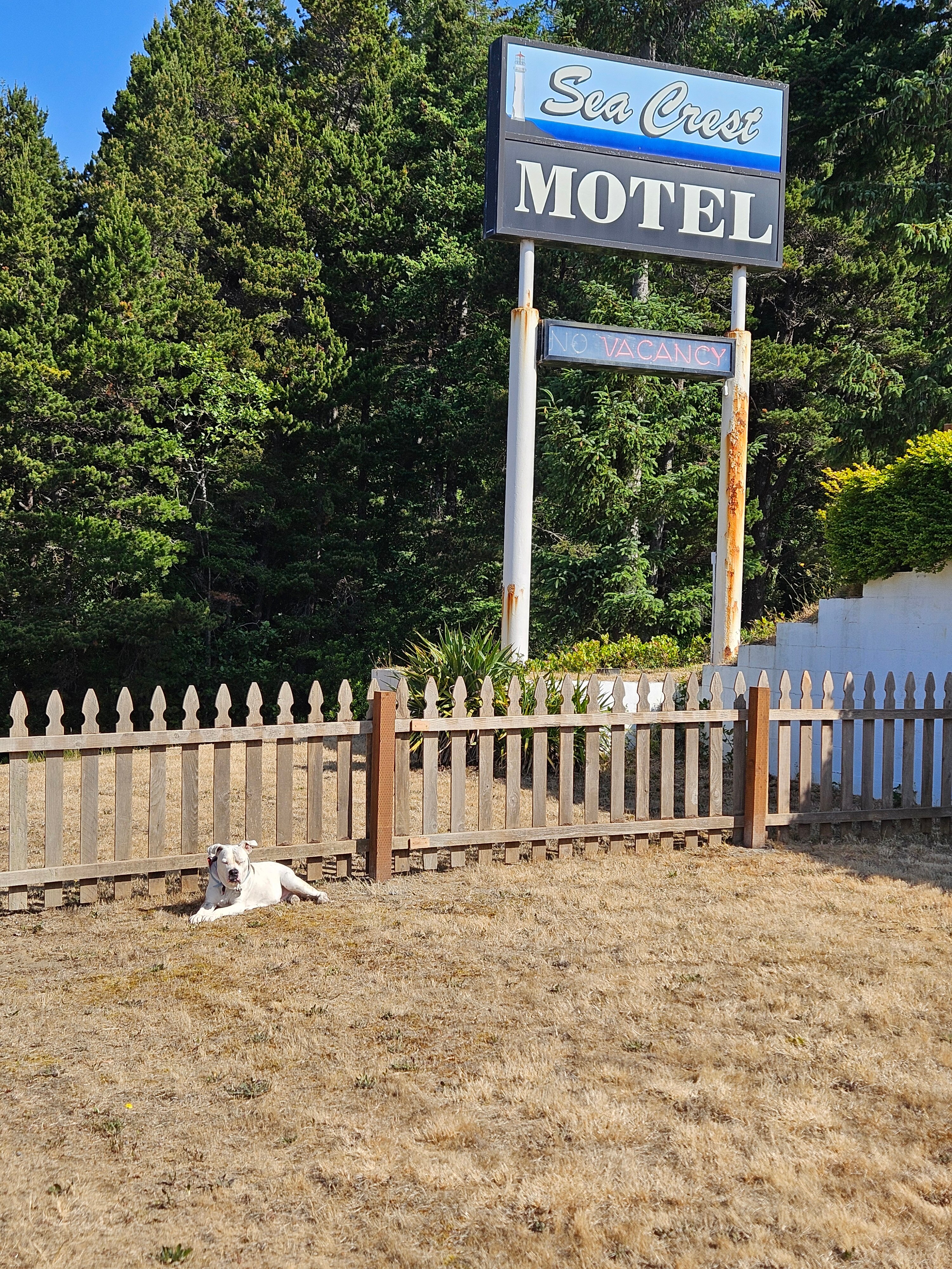 Sea Crest Motel-浴室