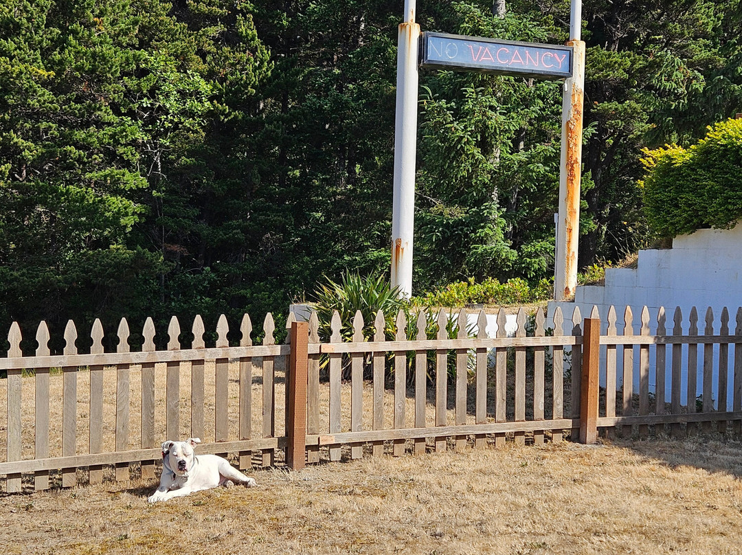 Sea Crest Motel主图