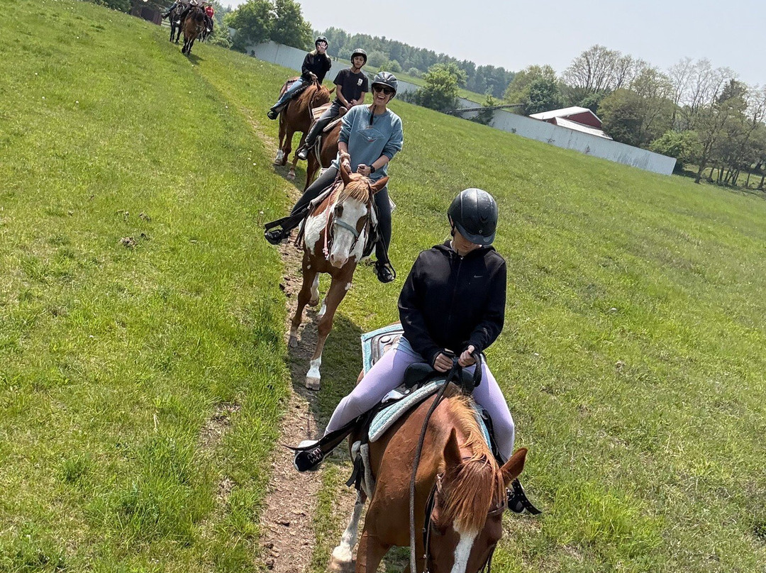 Kurtz Corral-斯特金贝必去景点