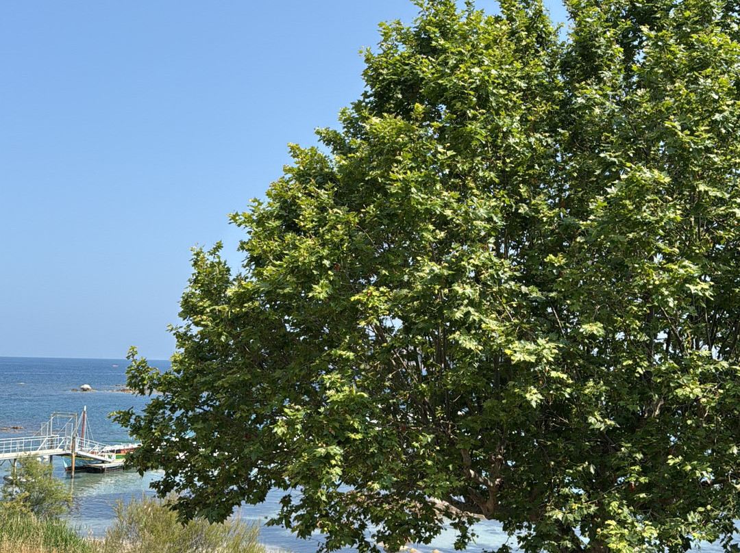 Conca酒店住宿-Hotel du Golfe