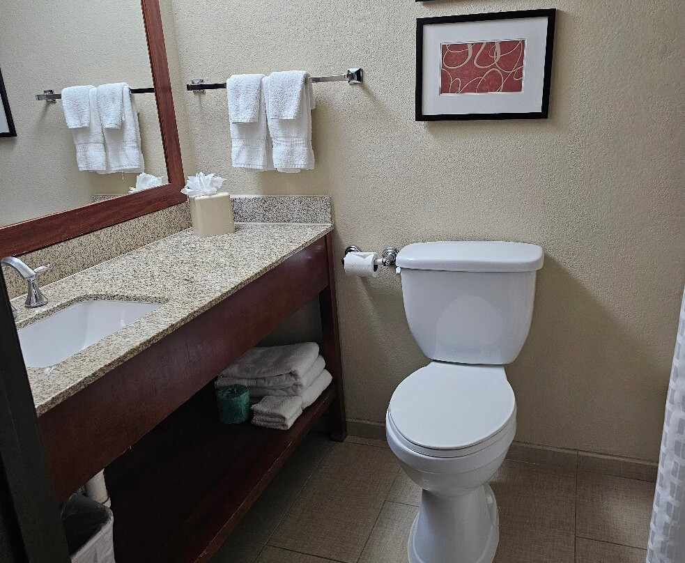 Comfort Suites Near Potomac Mills主图