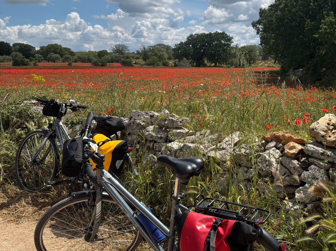 Salento Bici Tour-莱切必去景点