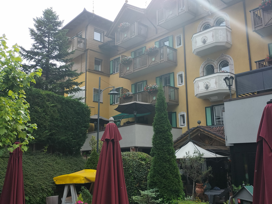 Alexander Hotel Alpine Wellness Dolomites主图