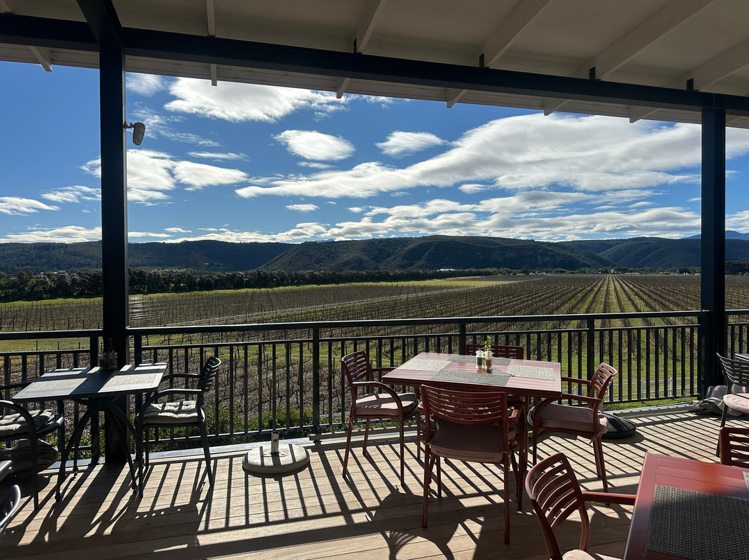 Bitou Vineyards-普利登堡湾必去景点