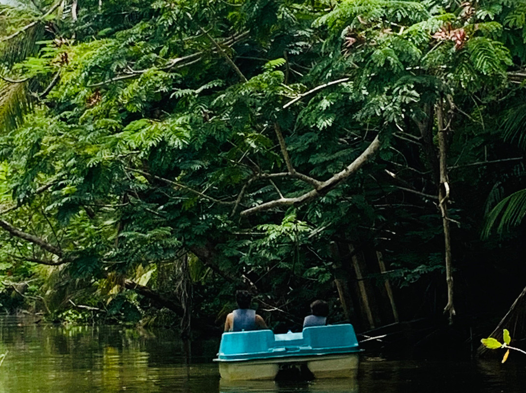 Reserva Natural de Humacao-Humacao必去景点