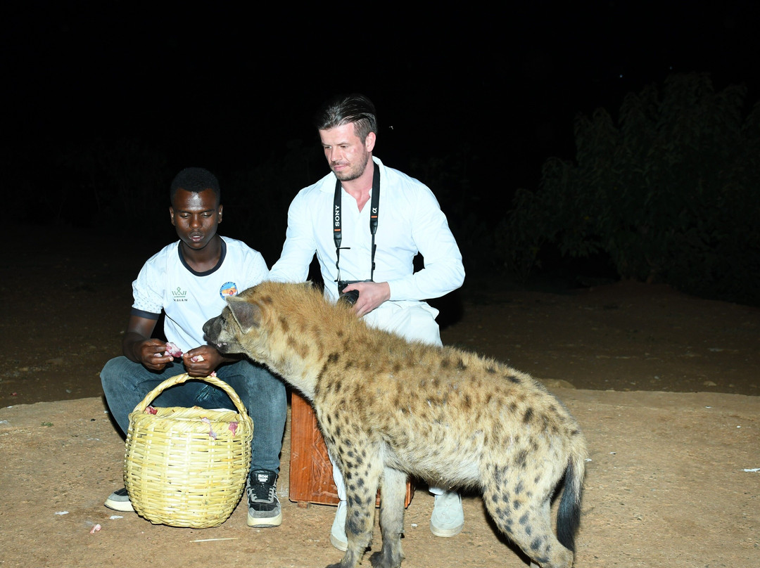 Majesty Ethiopia Tour and Travel
