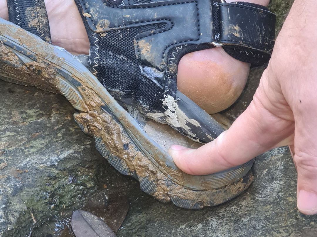 Trilha das Quatro Praias-Itacare必去景点