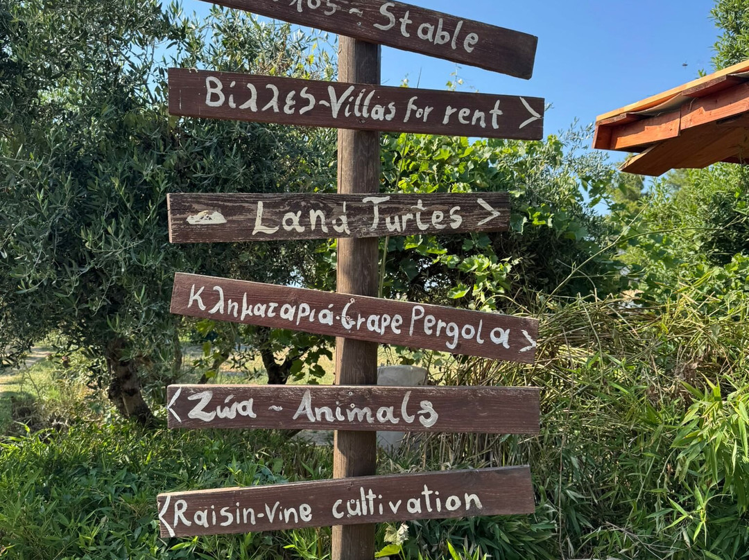 Therianos Family Farm-Kallithea必去景点