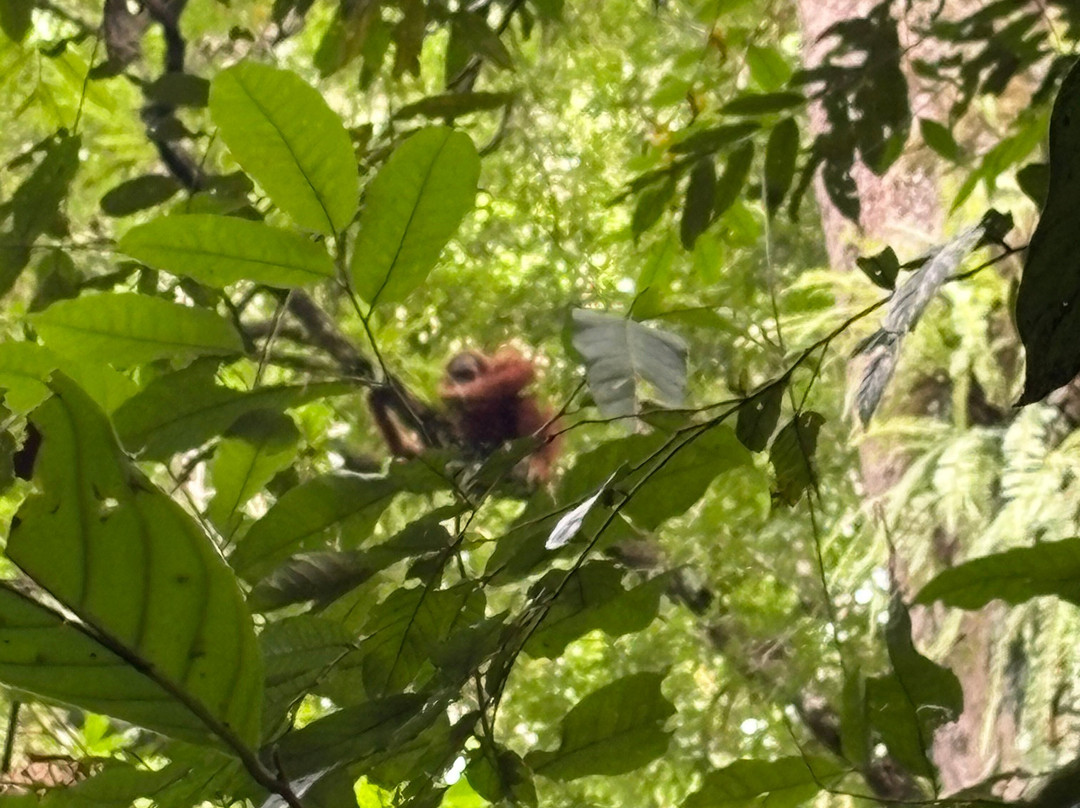 Friendship Guesthouse & Restaurant主图