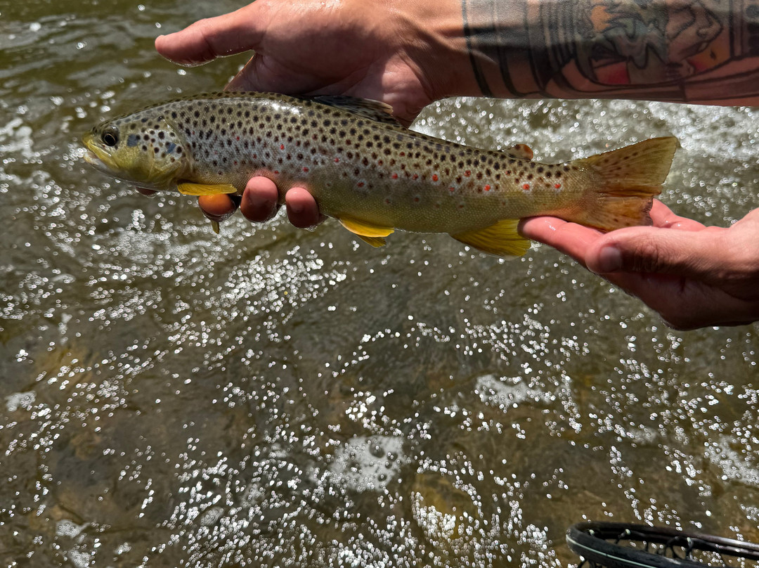 Kirks Flyshop & Mountain Adventures-埃斯蒂斯公园必去景点