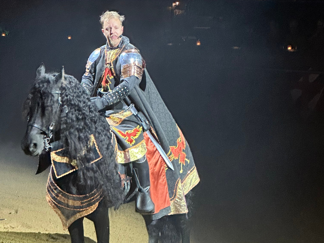 Medieval Times Dinner & Tournament-斯科茨代尔必去景点