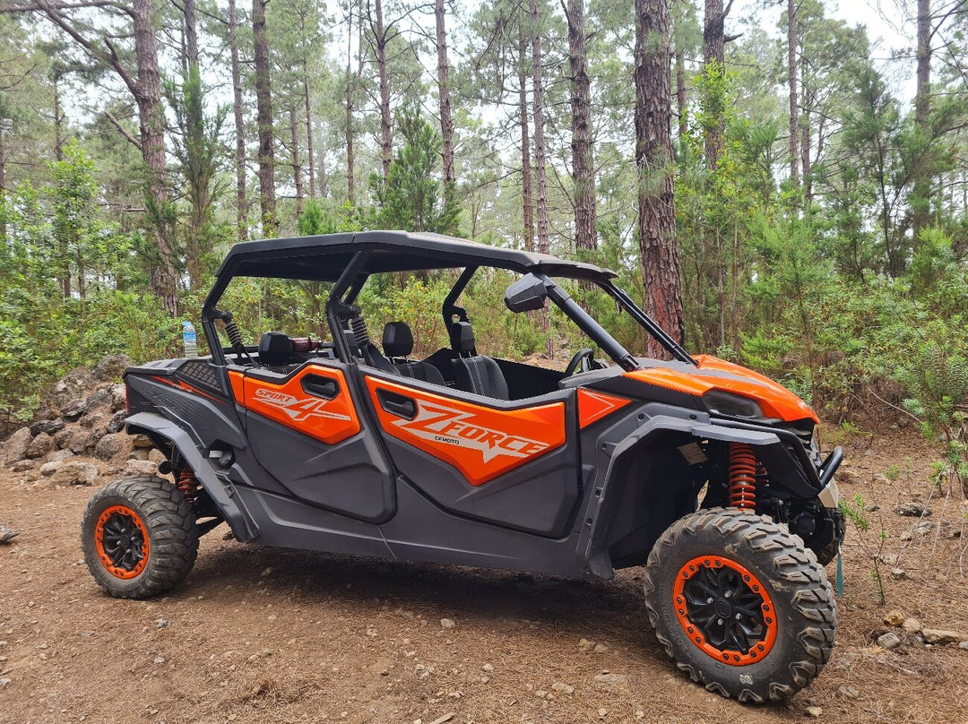 Buggy Tour Icod-伊科德洛斯维诺斯必去景点