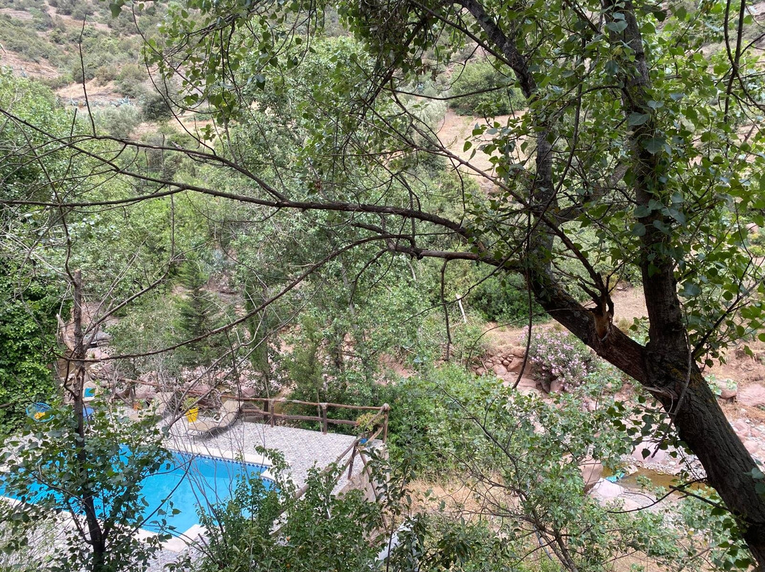 Salama Ayurveda主图