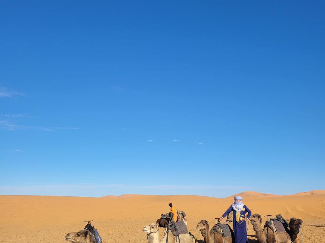 Morocco Easy Tours - Morocco Tours-马拉喀什必去景点