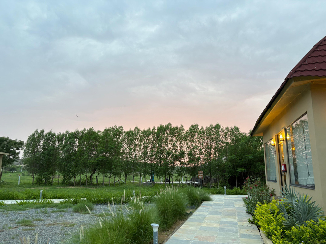 Jawai Zinc Journey by The Fern