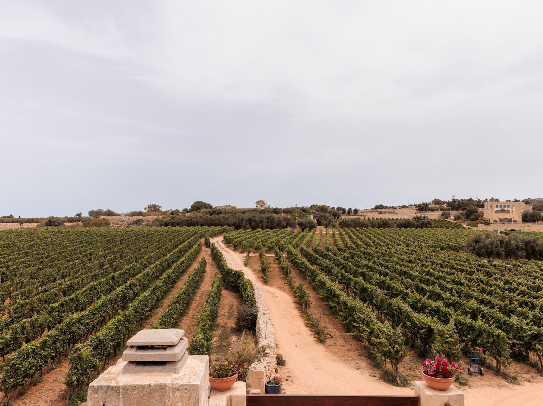 Ta' Betta Wine Estates