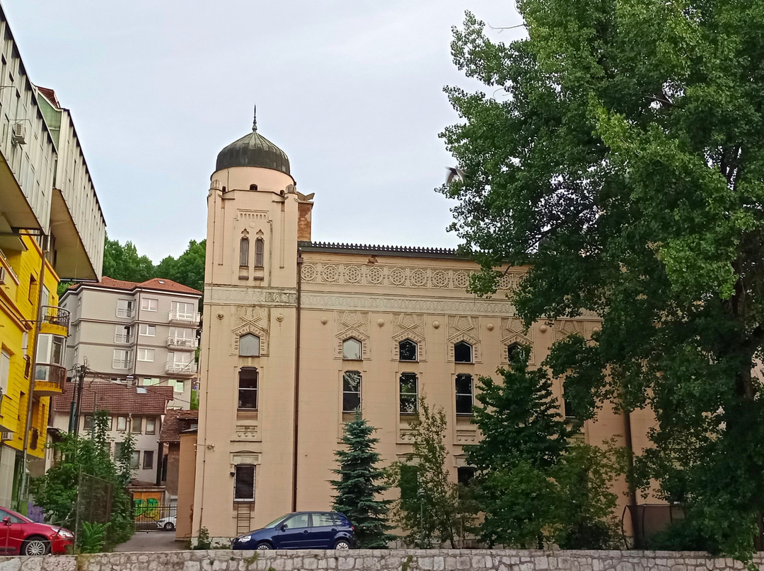 Ashkenazi Synagogue-萨拉热窝必去景点