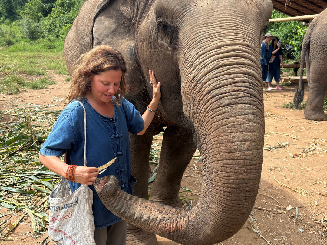 Living Green Elephant Sanctuary-清迈必去景点