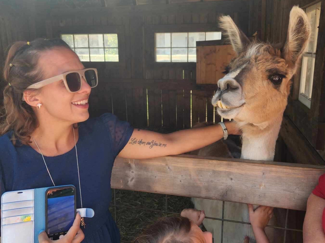 奈里斯荷兰村-荷兰村必去景点